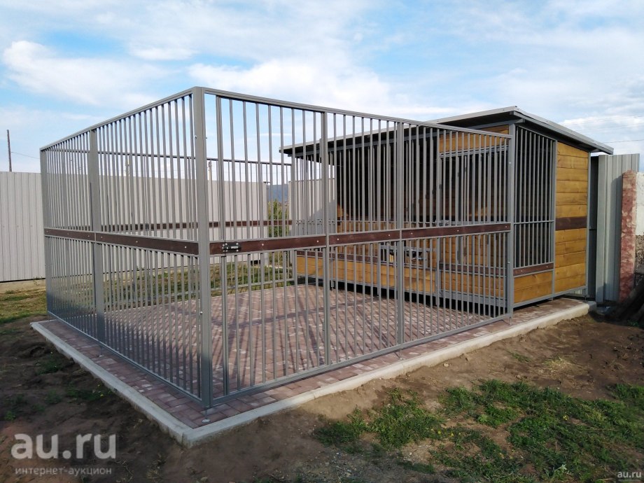 Алабай в вольере зимой