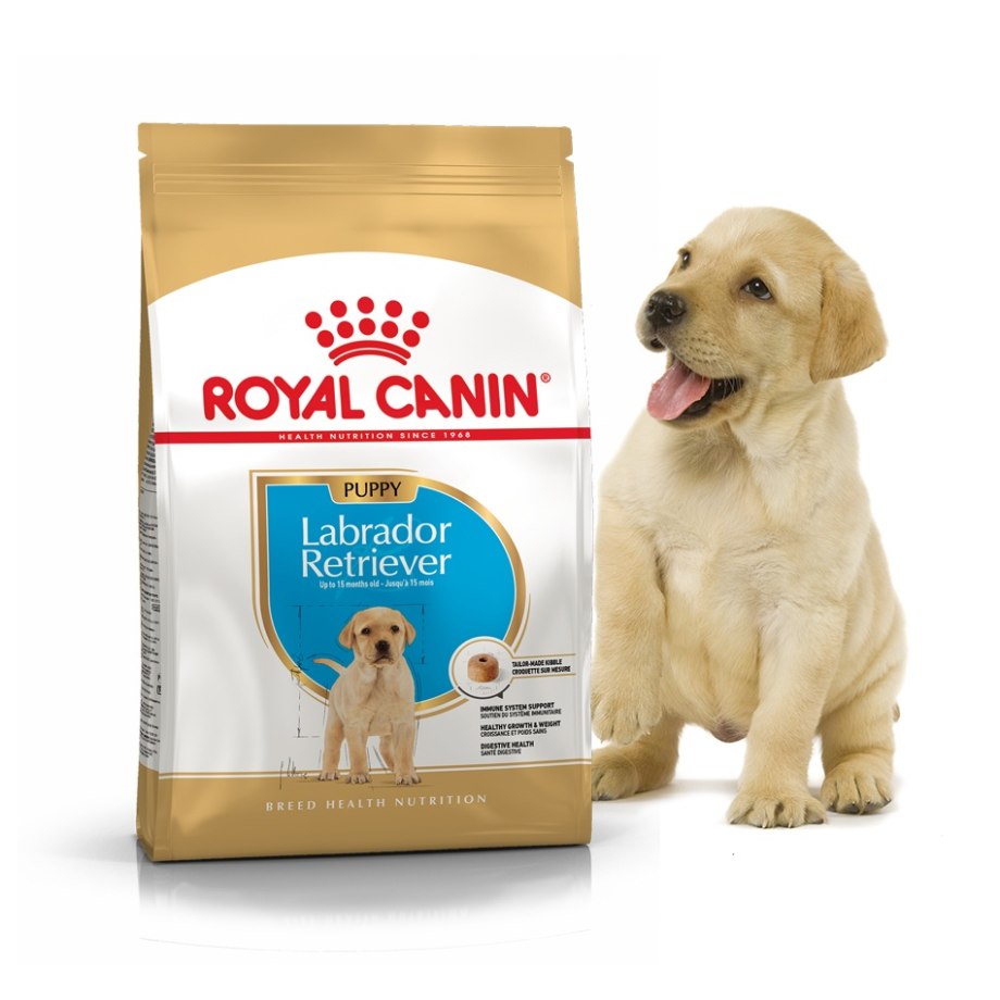 Royal Canin Labrador Retriever Junior