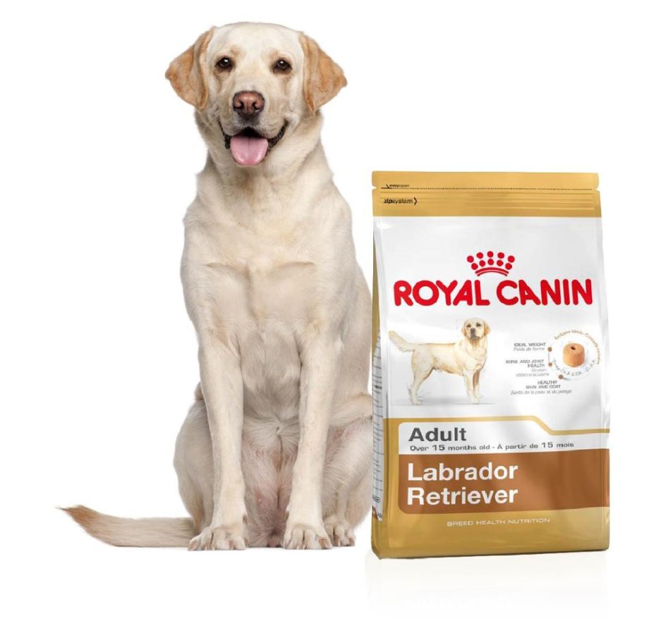 Корм сухой Royal Canin Labrador Retriever