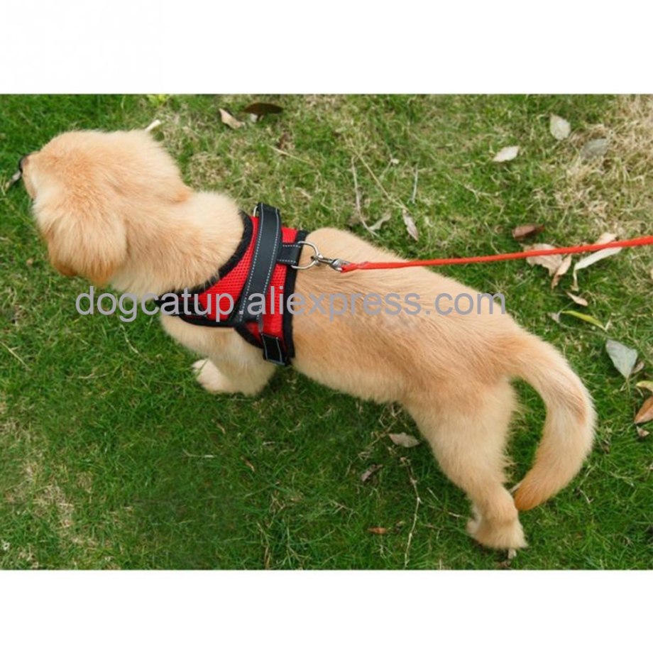Шлейка Collar Soft