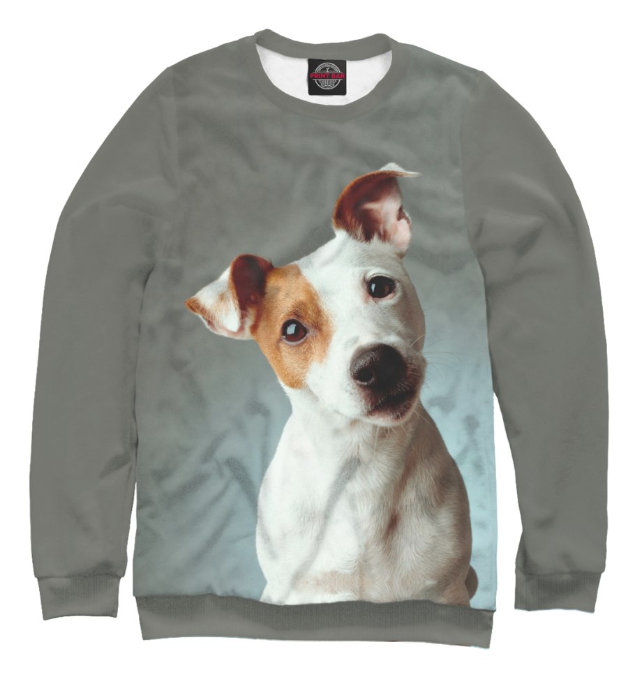 Dogwear одежда для собак