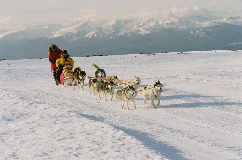 Белый плен фильм 2006 белый плен