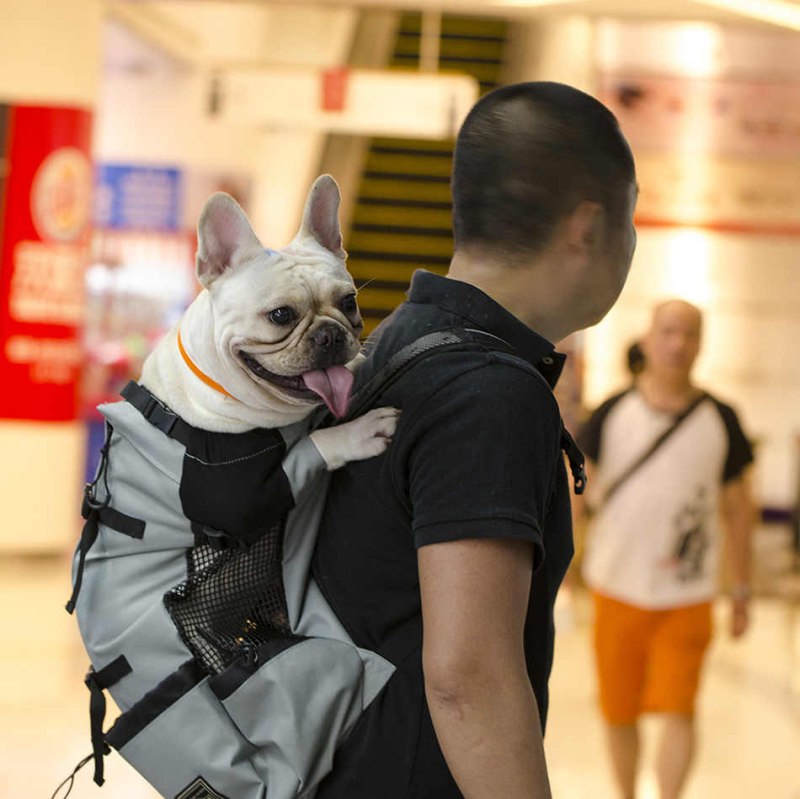 Рюкзак переноска Carrier Dog