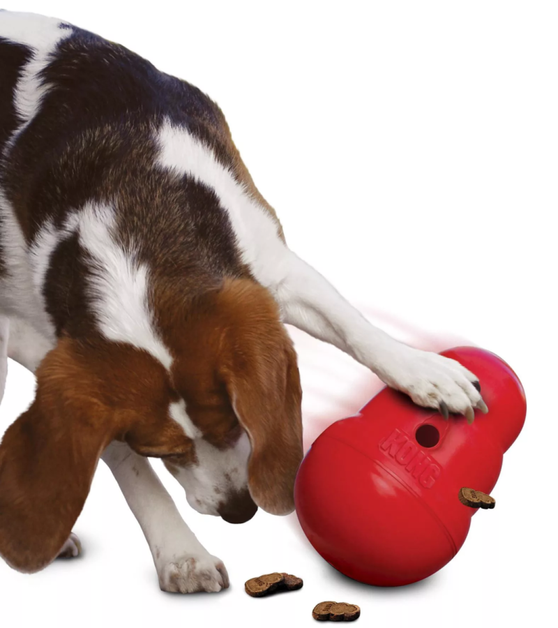 Eukanuba для собак мелких пород 3 кг 1 + Adult