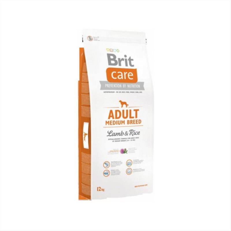Brit Care логотип