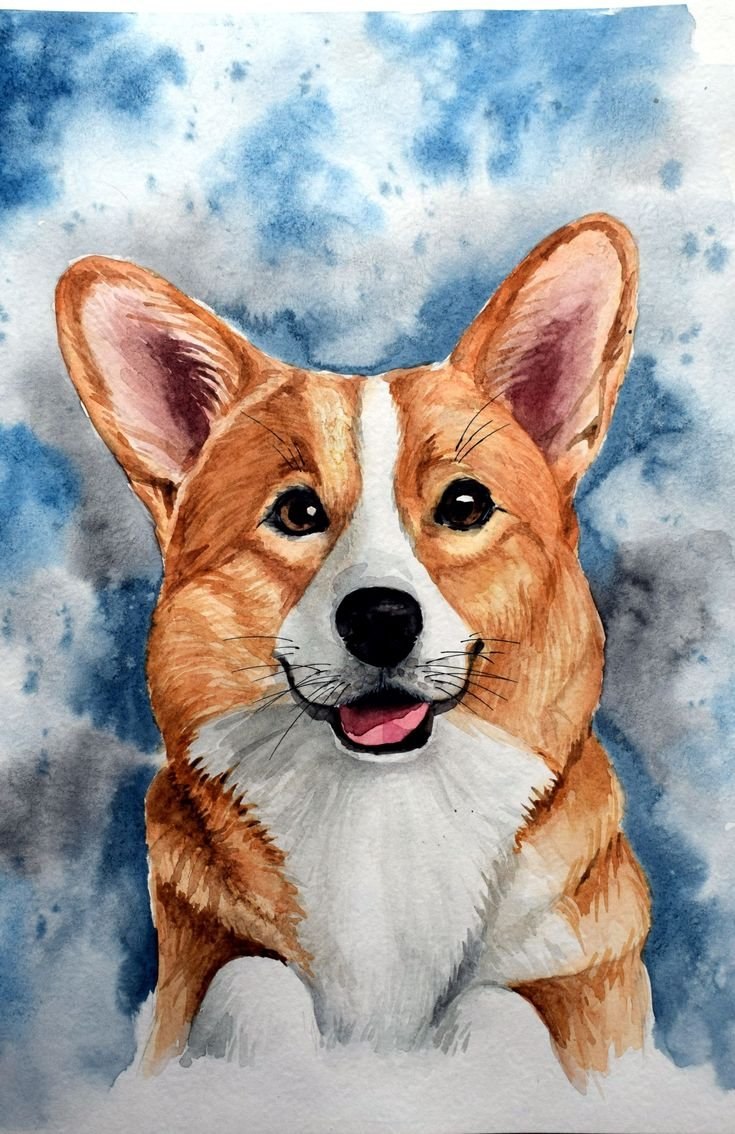 Вельш корги рисунок