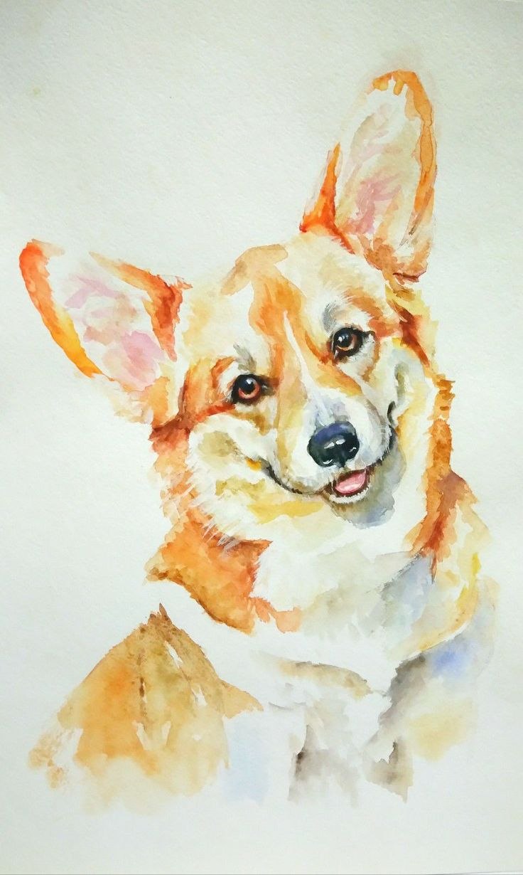 Корги пемброк арт