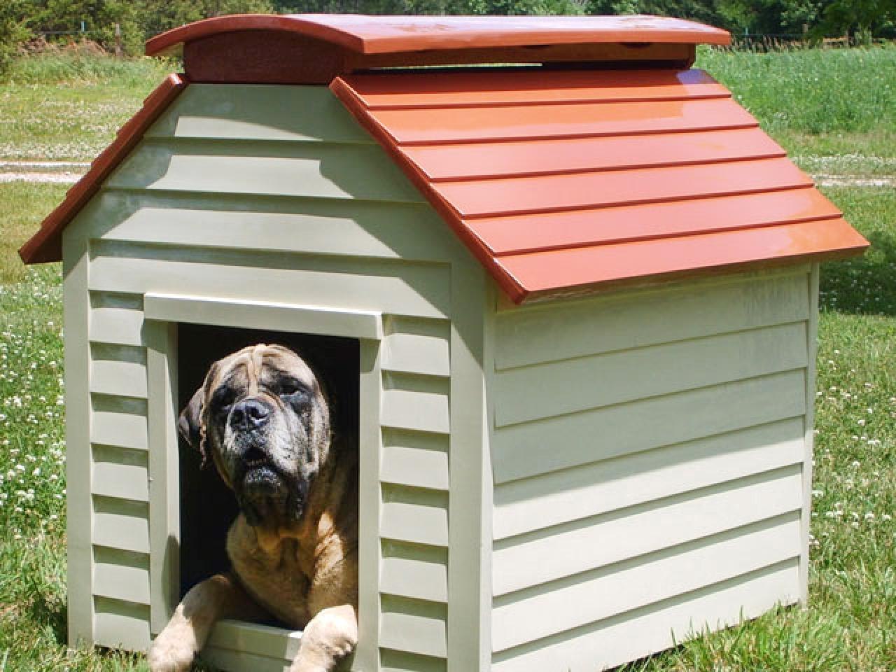 New dog house. . Будка Терри 1700. Собачья будка. Собака с конурой. Красивые будки для собак.