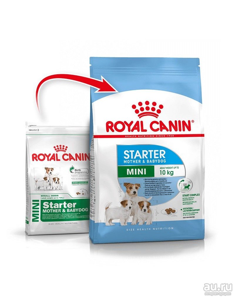 Royal canin для щенков мелких. Royal Canin для щенков Starter Mini. Роял Канин стартер 2. Royal Canin mother and Babydog Mini Starter. Роял Канин мини стартер 1 кг.