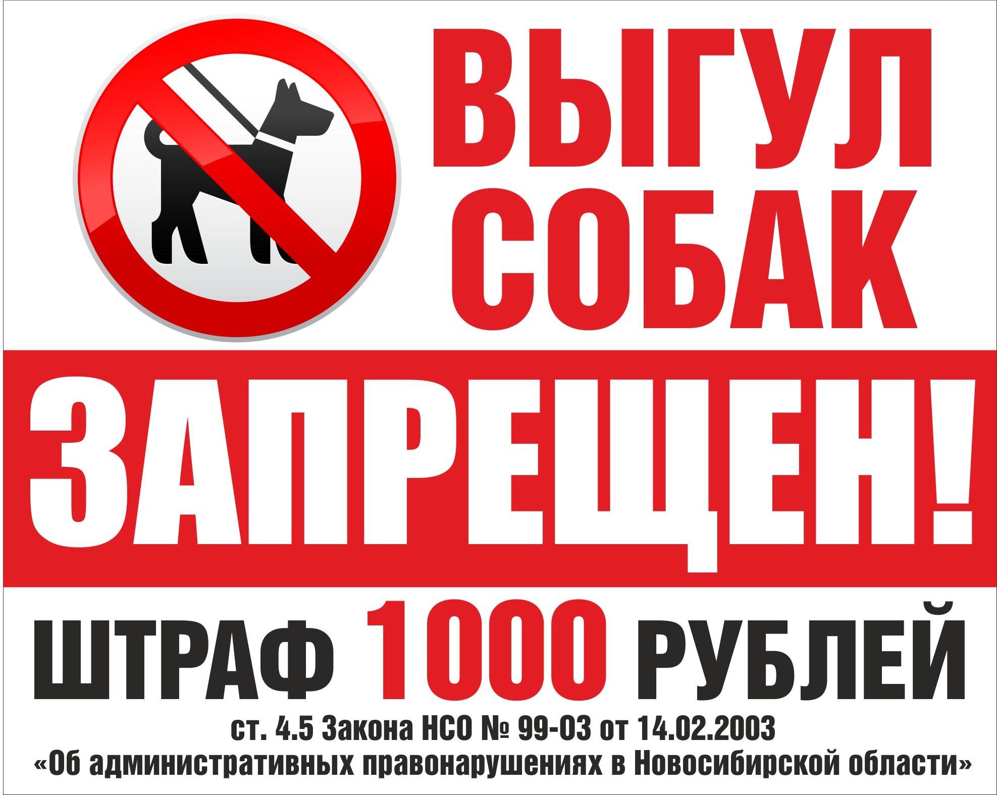 Штраф 500 000 рублей. Выгул собак запрещен. Табличка выгул запрещен. Табличка выгул собак. Выгул собак запрещен штраф табличка.