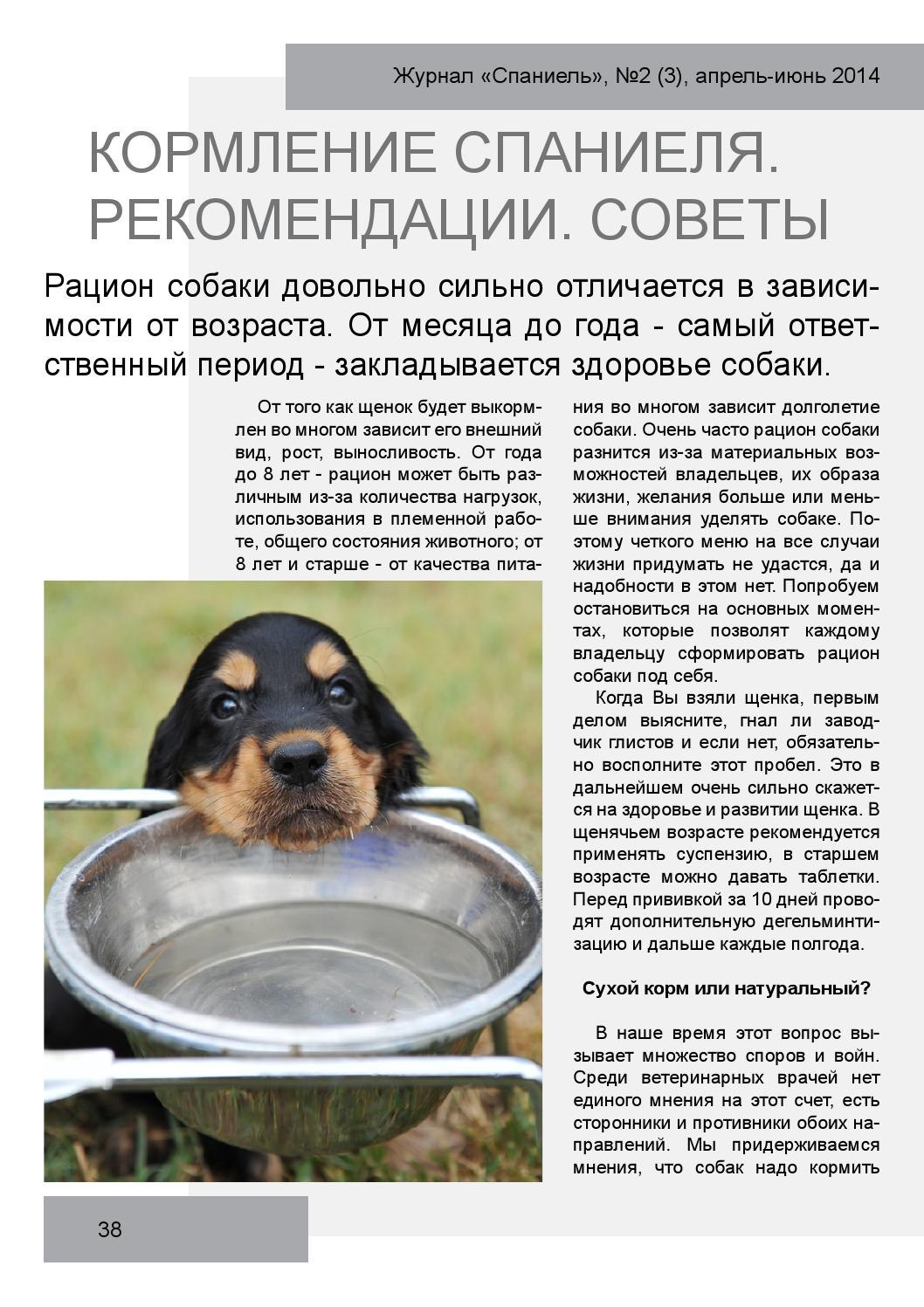 Чем кормить двухмесячного щенка спаниеля (63 фото) - картинки sobakovod.club