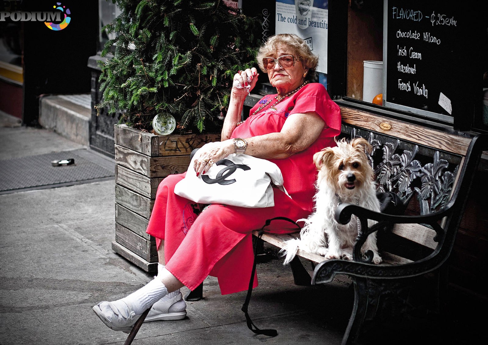 Толстая баба с собакой. Бабушка с собакой. Старушка с собачкой. Бабка с собачкой. Весёлая дама с собакой.