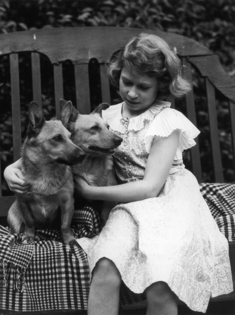 Королева Англии Елизавета с собаками