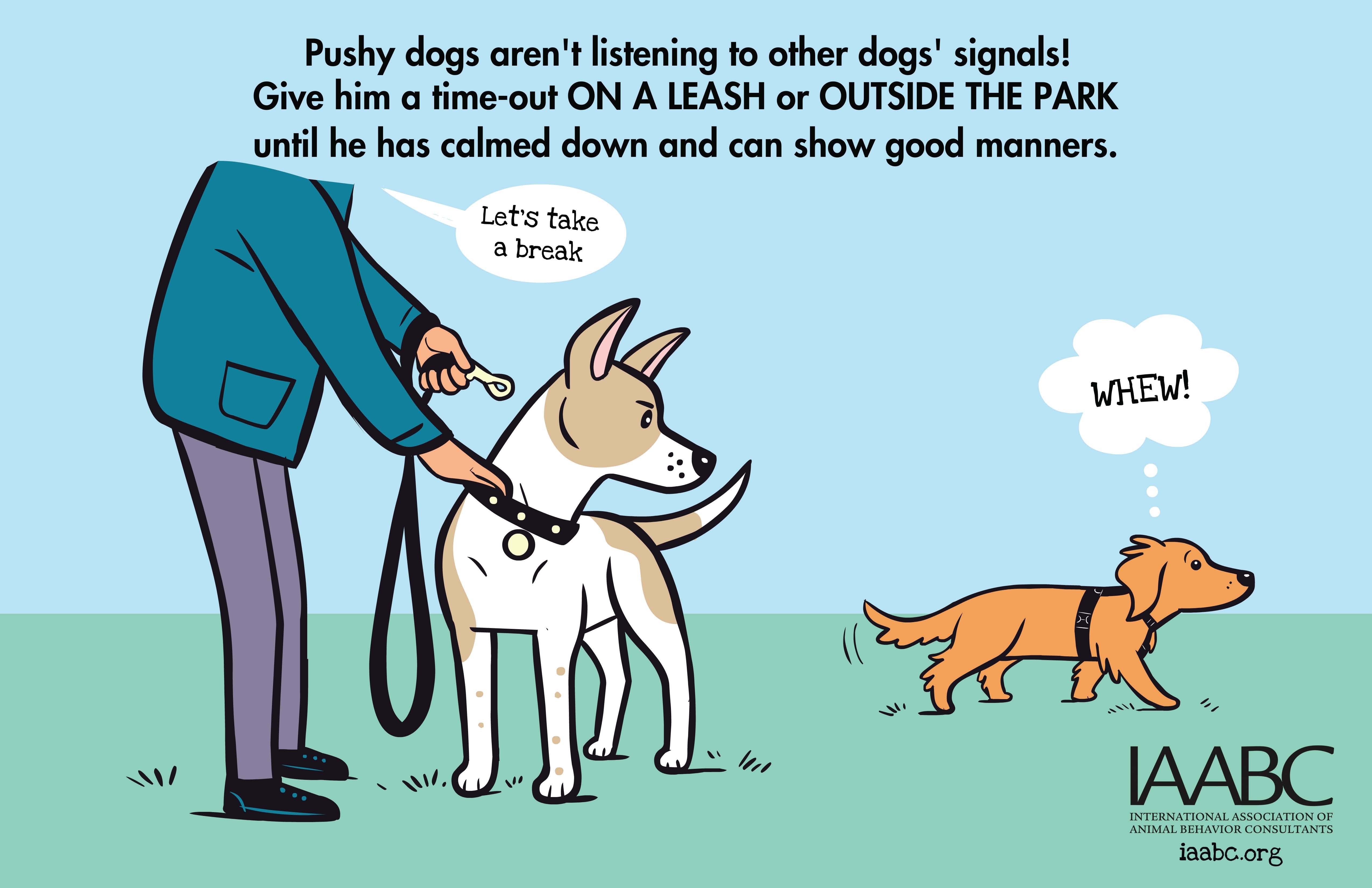 Примирение собак. Сигналы собак. Язык тела собаки. Поведение собак в картинках. Язык собак как понять.