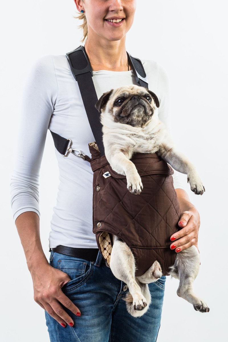 Pet Carrier Мопс