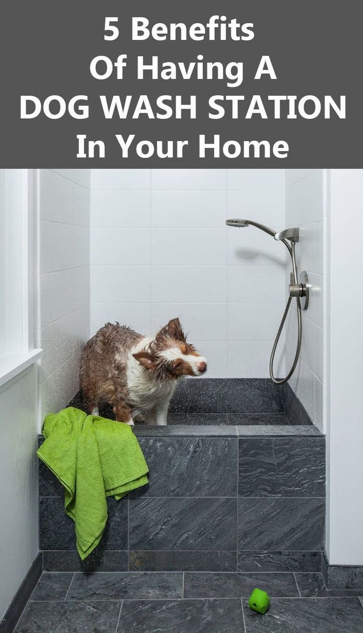 Лапомойка для собак clean Dog