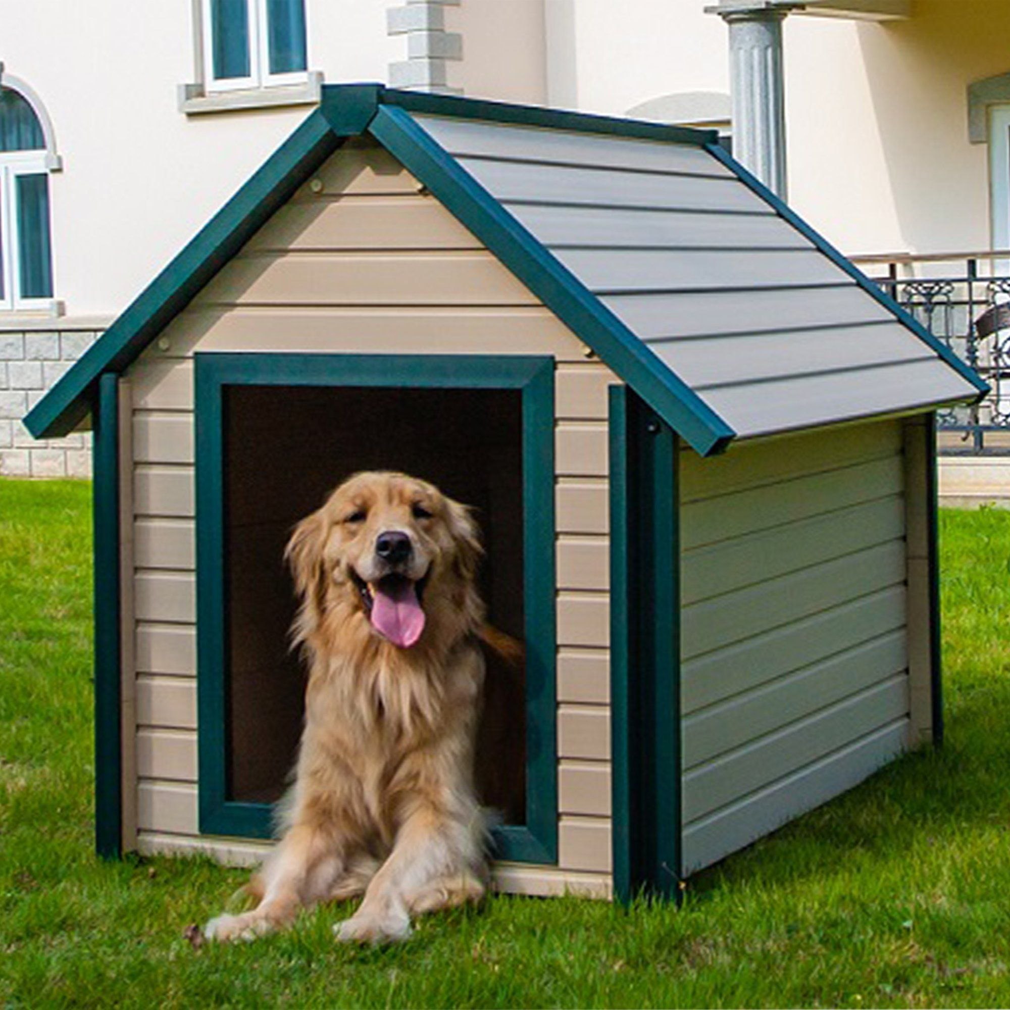New dog house. Собачья конура будка. Конура для 3 собак. Будка для собаки Keter. Конура для собаки Keter.