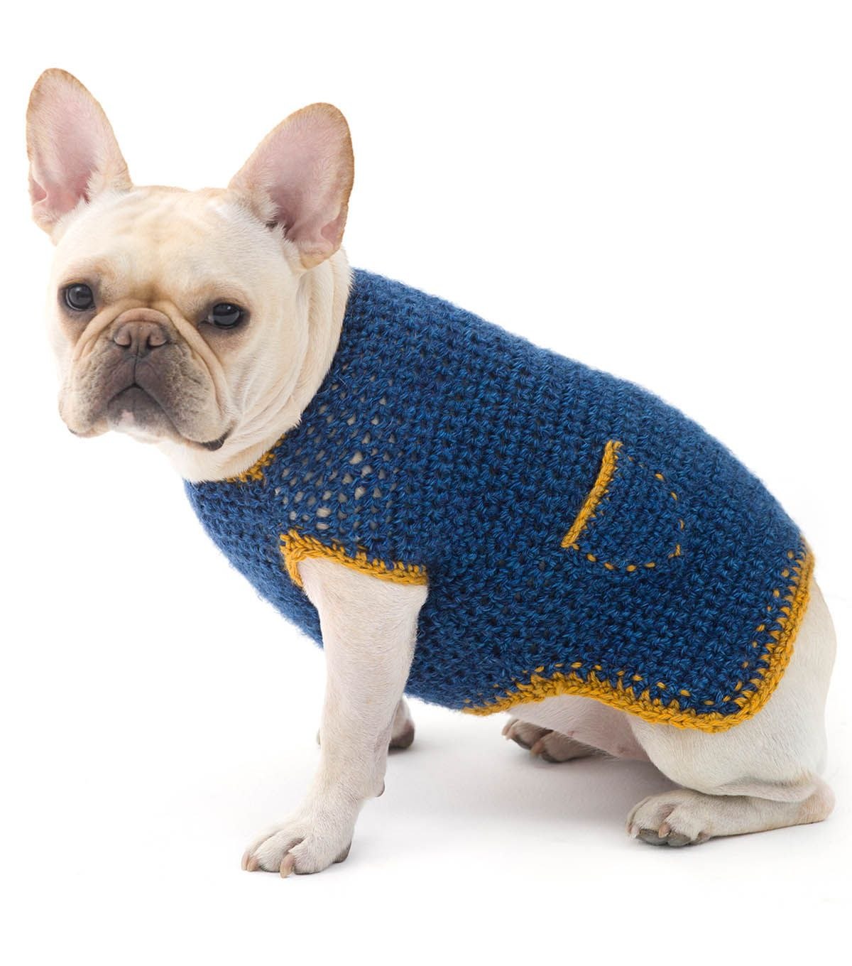 Бордовый свитерок для собаки – видео мастер-класс