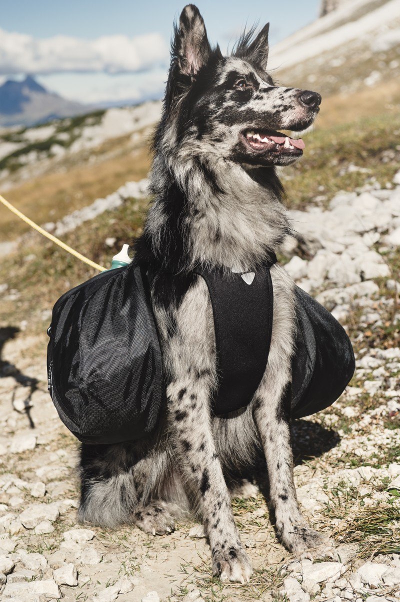 Шлейка Hurtta Trail