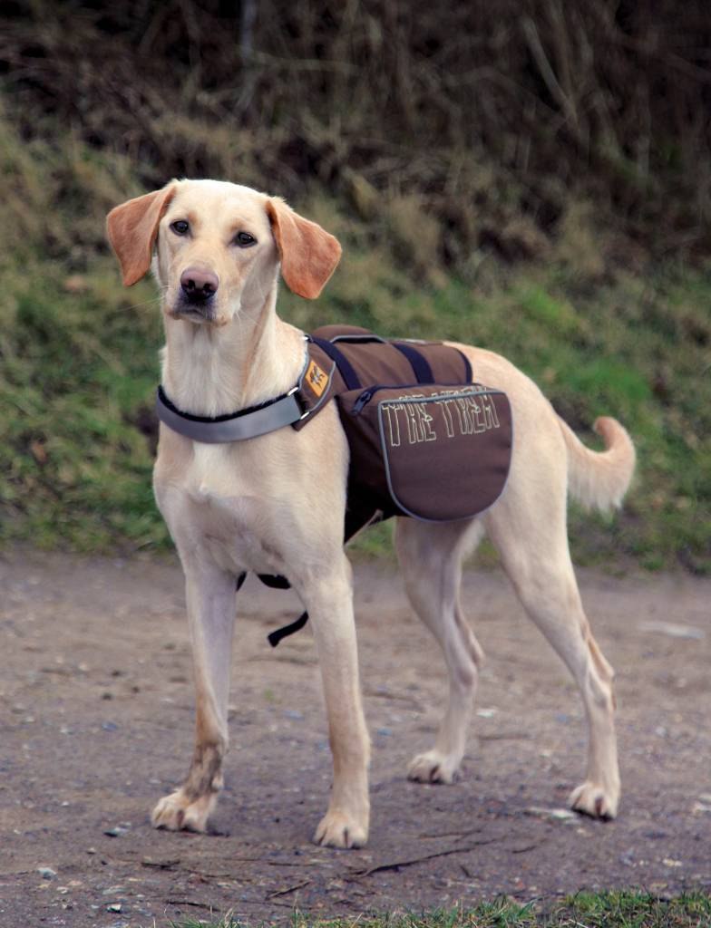 Рюкзак Pet Carrier