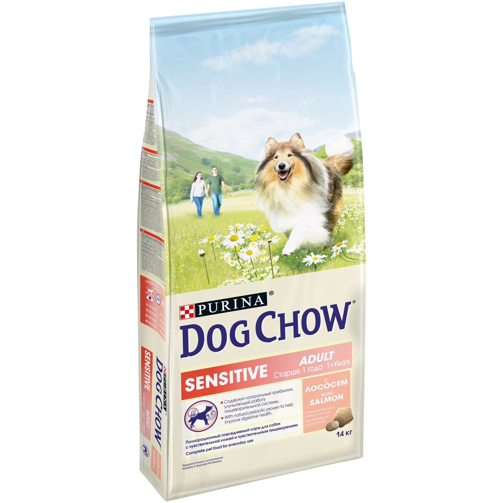 Купить корм для собаки 14 кг. Dog Chow корм для собак. Dog Chow sensitive лосось. Корм для собак с лососем. Дрим дог корм для собак.
