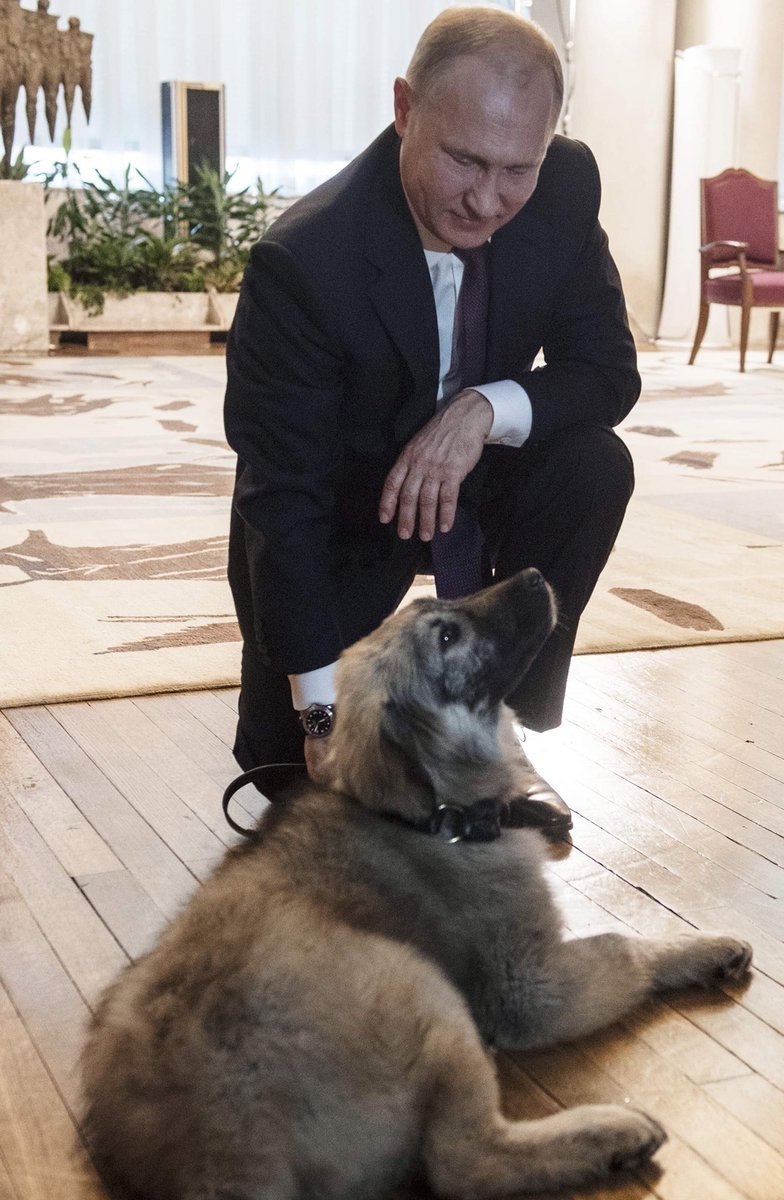Паша пес