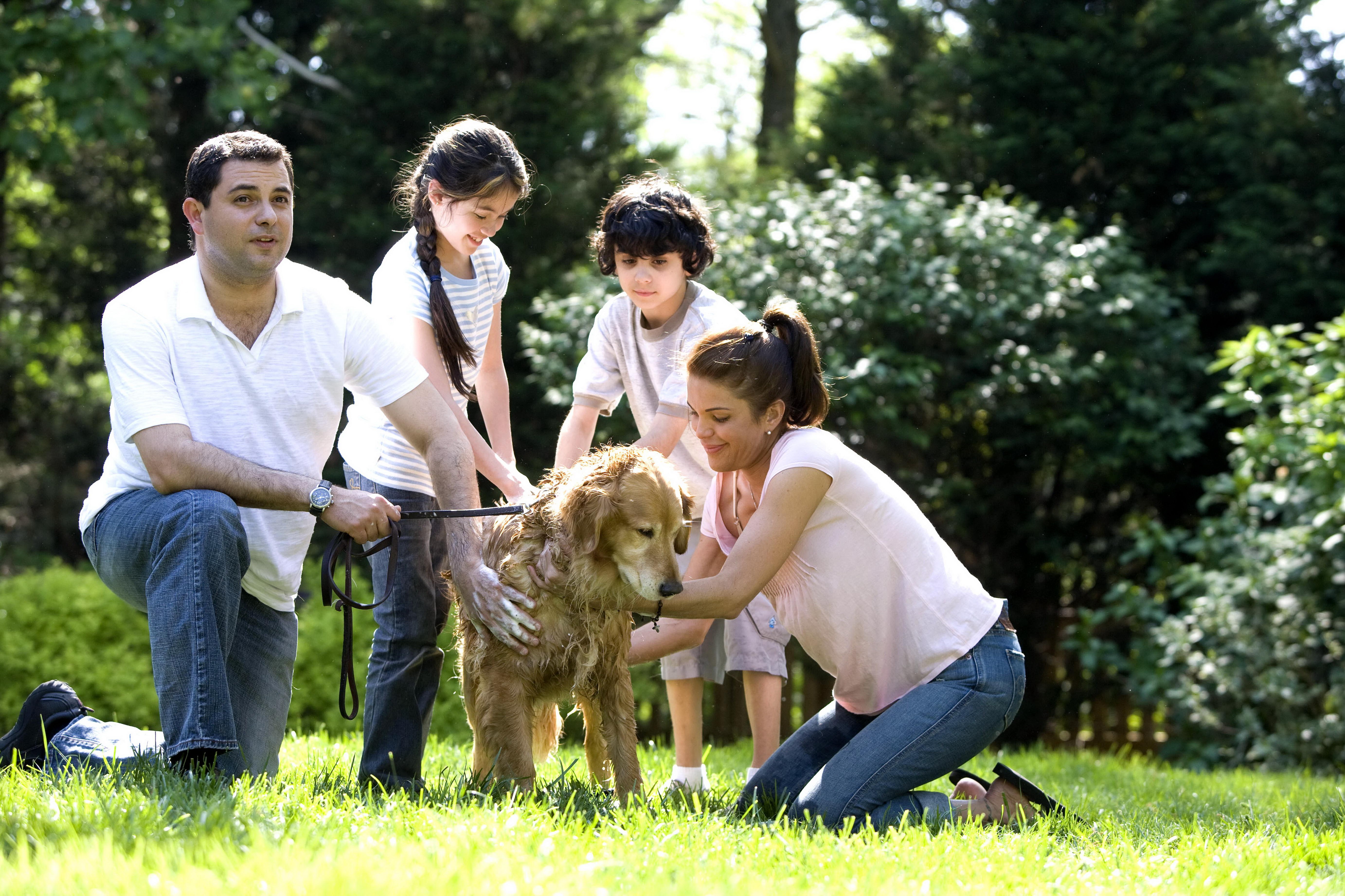 Look after your pet. Семья с собакой. Семья с лабрадором. Собаки родители. Щенки с родителями.