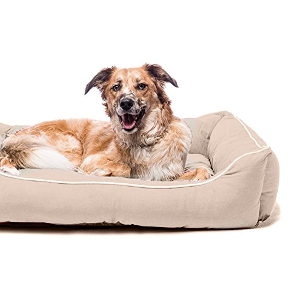 Wildberries собаки. Лежанка Dog gone Smart. Лежак для собак Dog gone Smart Lounger Bed s 56х51х16.5 см. Лежак для собак Dog gone Smart Lounger Bed XL 94х79х16.5 см. Лежак для собак Dog gone Smart Lounger Bed m 66х61х16.5 см.