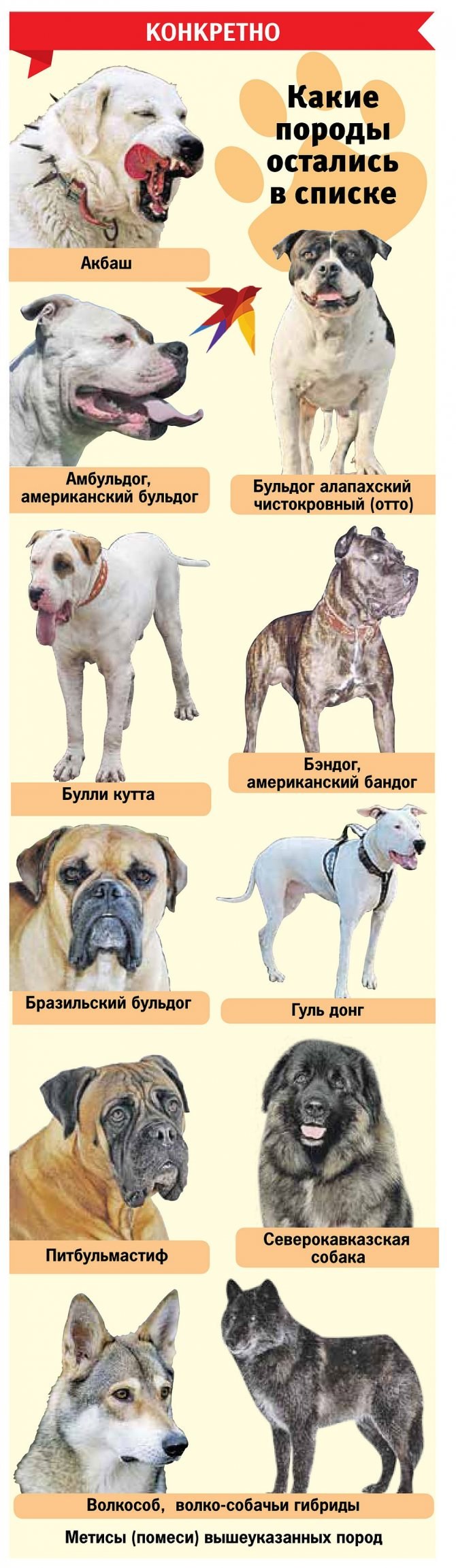 Опасные породы собак список