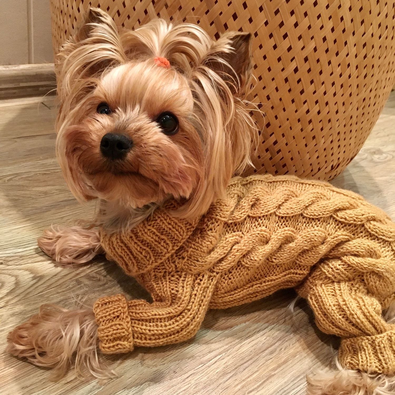 свитер для собаки - Страна Мам