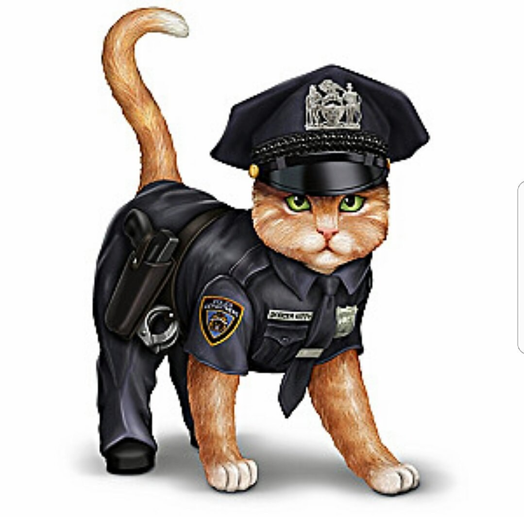Коп и кот. Кот в полицейской форме. Котенок полицейский. ЕОТ В полицейской форме. Котик в костюме полиции.