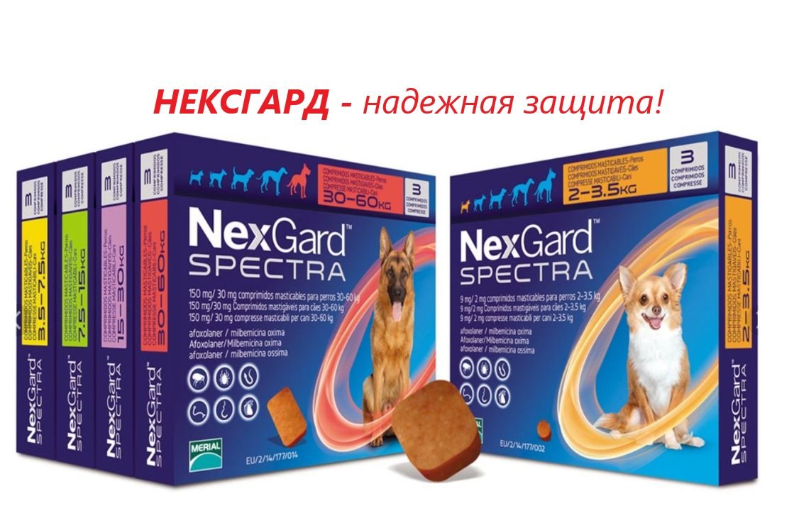 Таблетки нексгард для собак купить. Фронтлайн НЕКСГАРД спектра. NEXGARD Spectra для собак. НЕКСГАРД спектра до 15 кг. НЕКСГАРД спектра для собак 2-3.5 кг.