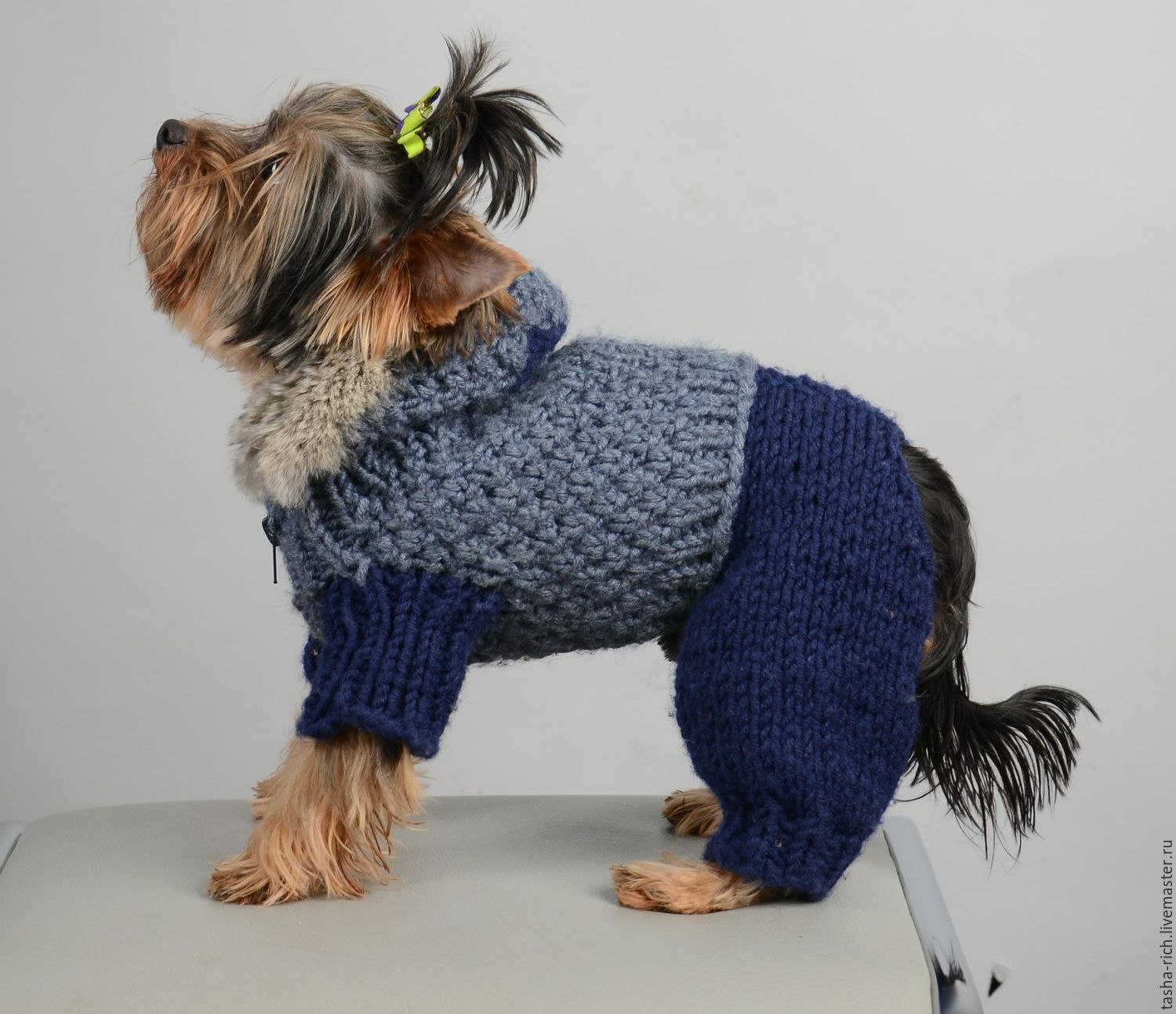 Связать свитер для собаки йорка (62 фото)