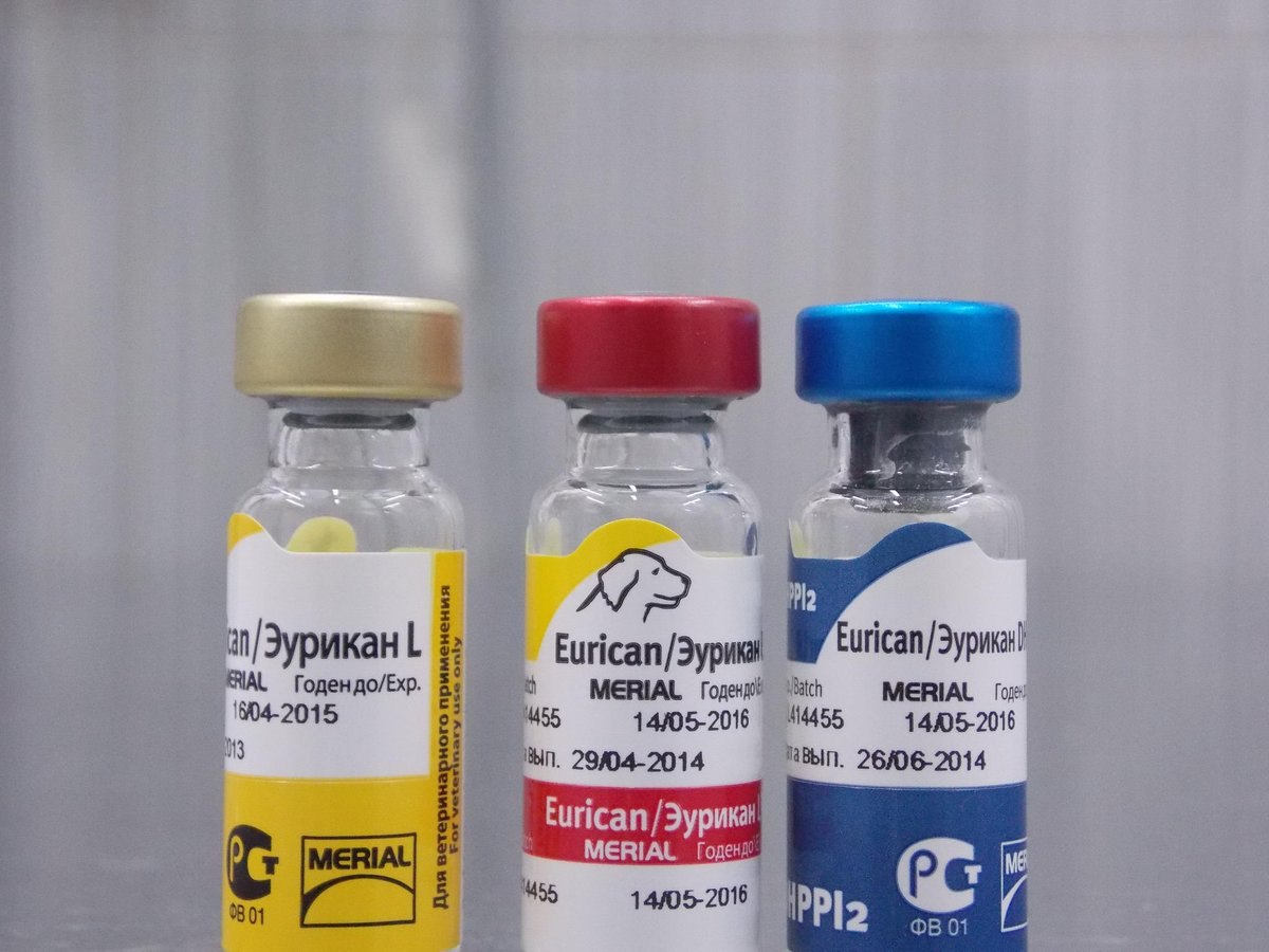 Вакцина для собак l. Эурикан dhppi2 вакцина для собак. Вакцина Эурикан для собак dhppi2+RL. Вакцина для собак Каниген. Эурикан LR И dhppi2.