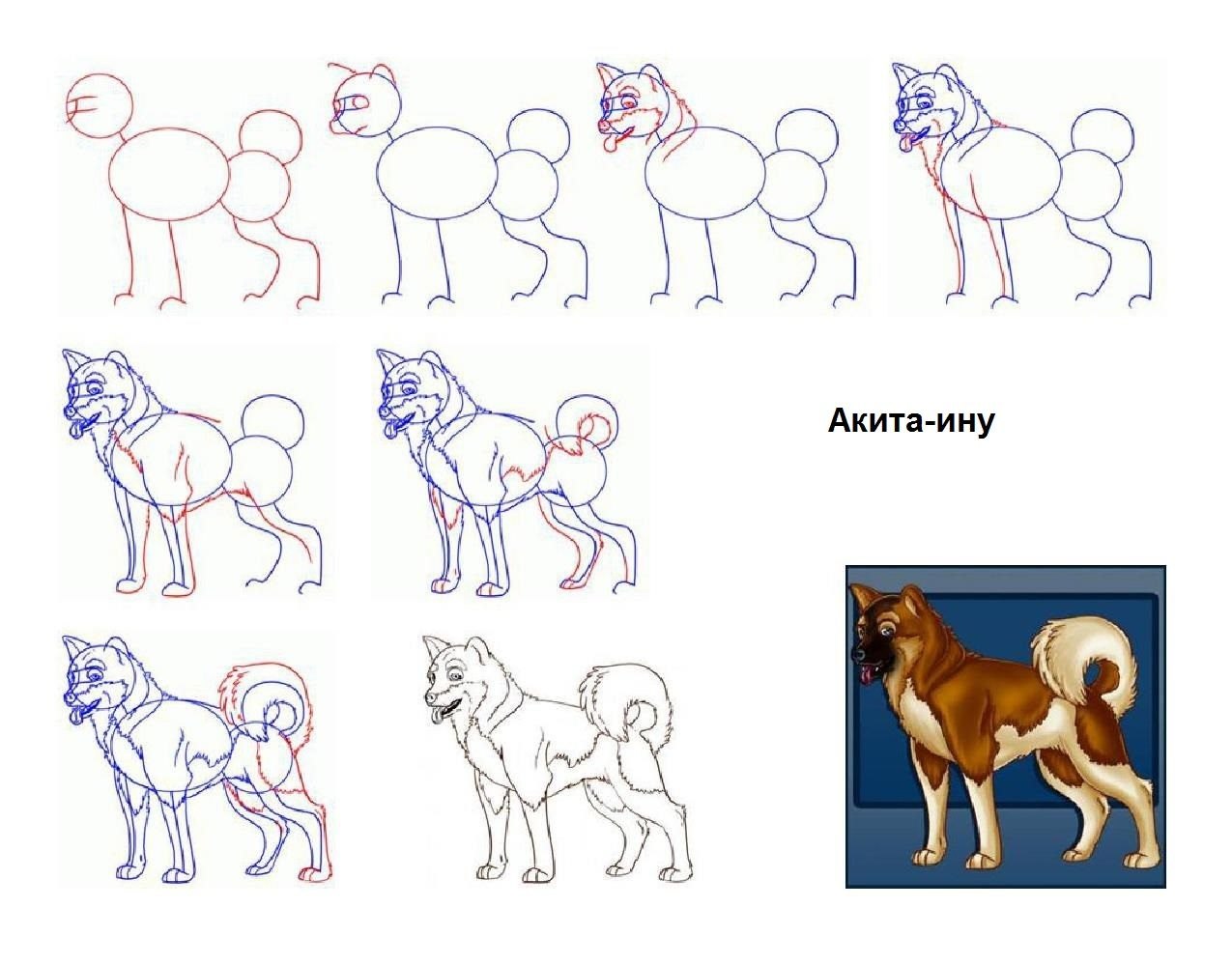 Нарисовать собаку карандашом легко и красиво. Собака рисунок. Поэтапное рисование собаки. Этапы рисования собаки. Пошаговый рисунок собаки.