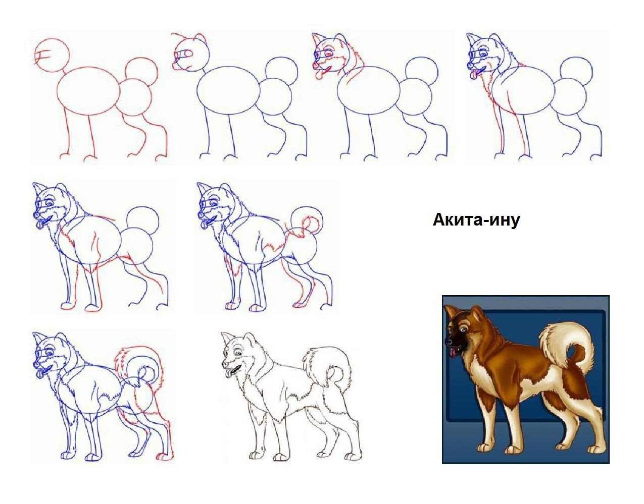 Как правильно поэтапно. Как научиться рисовать собаку поэтапно. Рисунок собаки пошагово. Рисунок собаки для срисовки поэтапно. Рисунки для урока рисования.