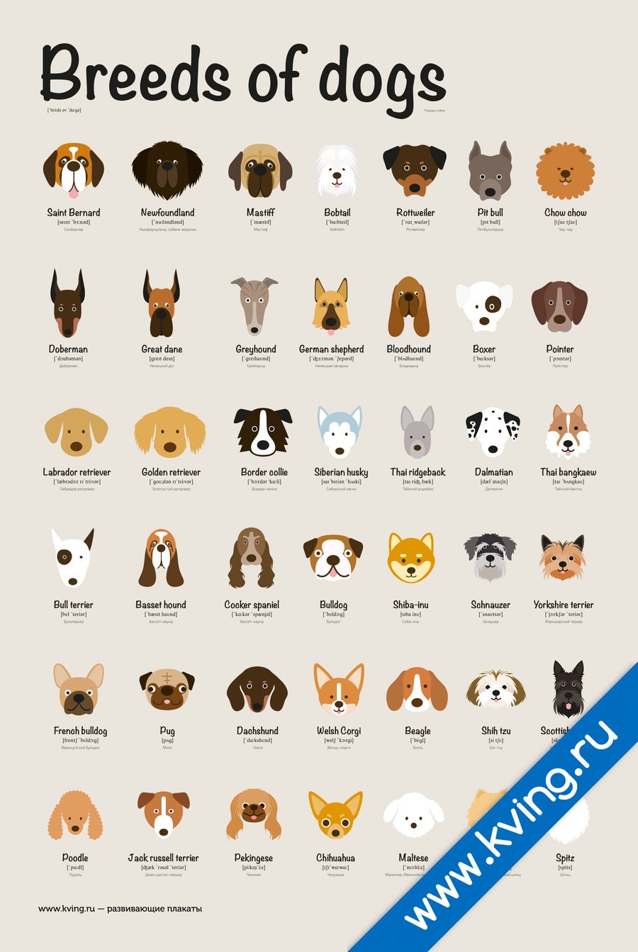 Плакат породы собак