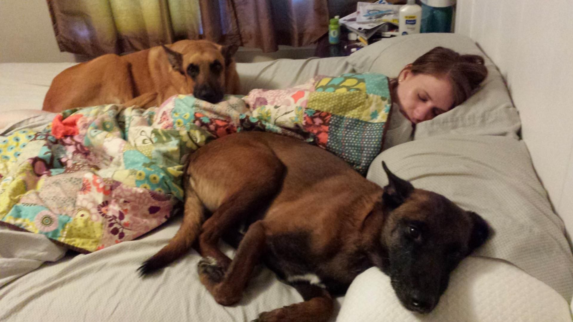 Спящие псы дата выхода. Собаки спят в обнимку. Животные с хозяевами. Сон с собакой в обнимку.