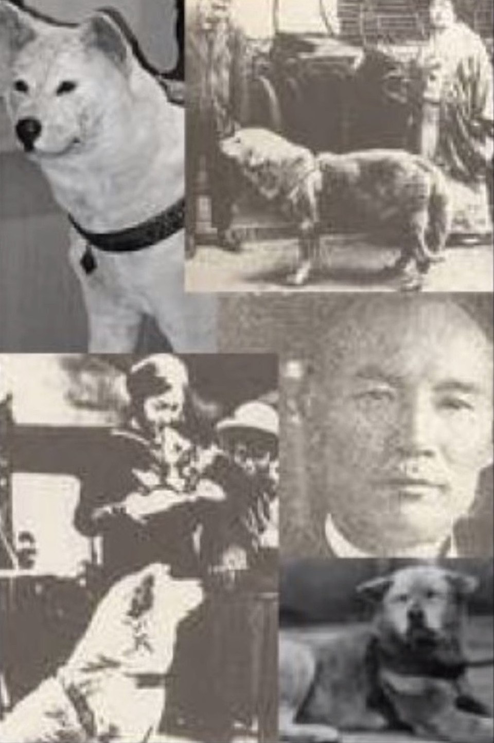 Настоящий хатико. Хатико 1925. Хатико 1934. Хатико 1925 с хозяином. Хидэсабуро Уэно.
