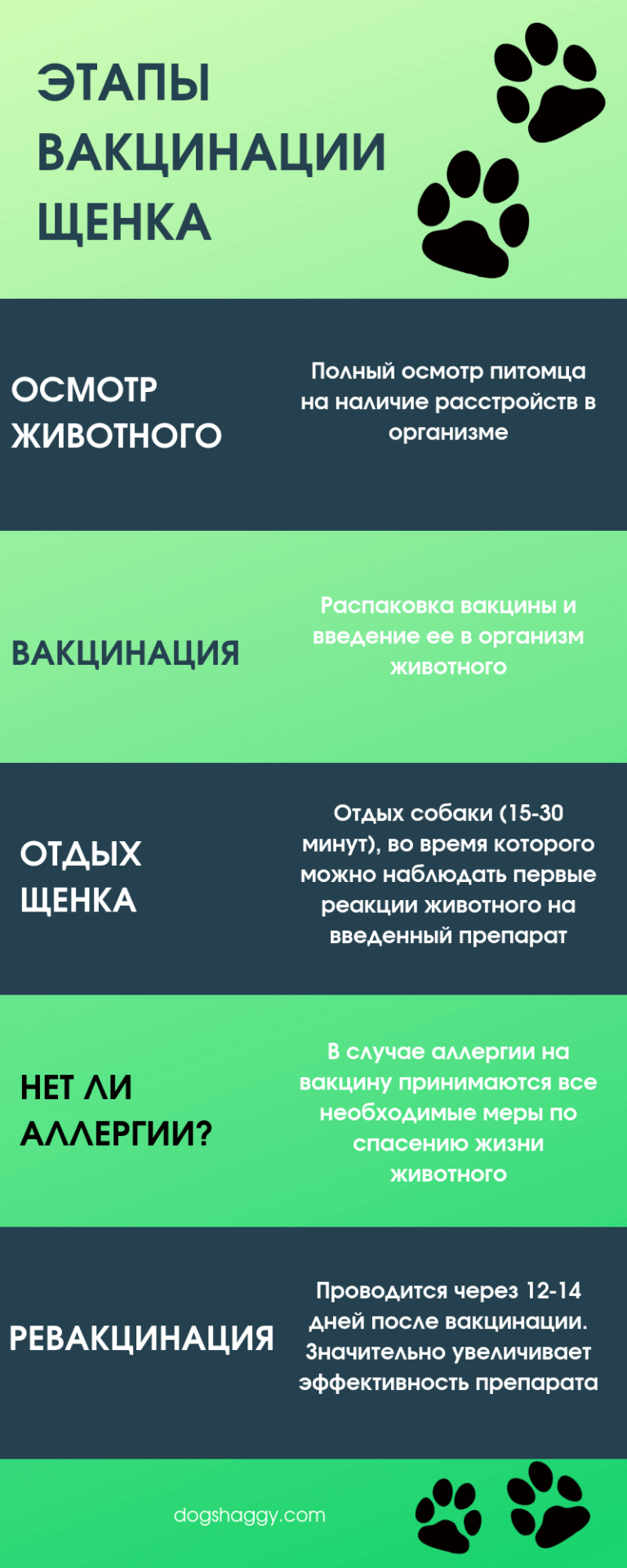Этапы вакцинации щенков