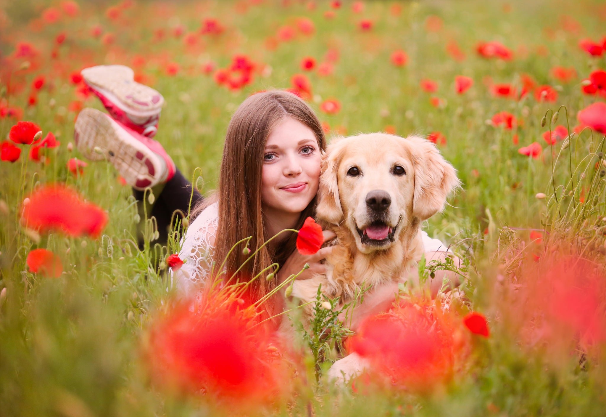 Картинка девушки с собакой. Девушка с собакой. Девушка с собакой фотосессия. Собака на природе. Красивая девушка с собачкой.