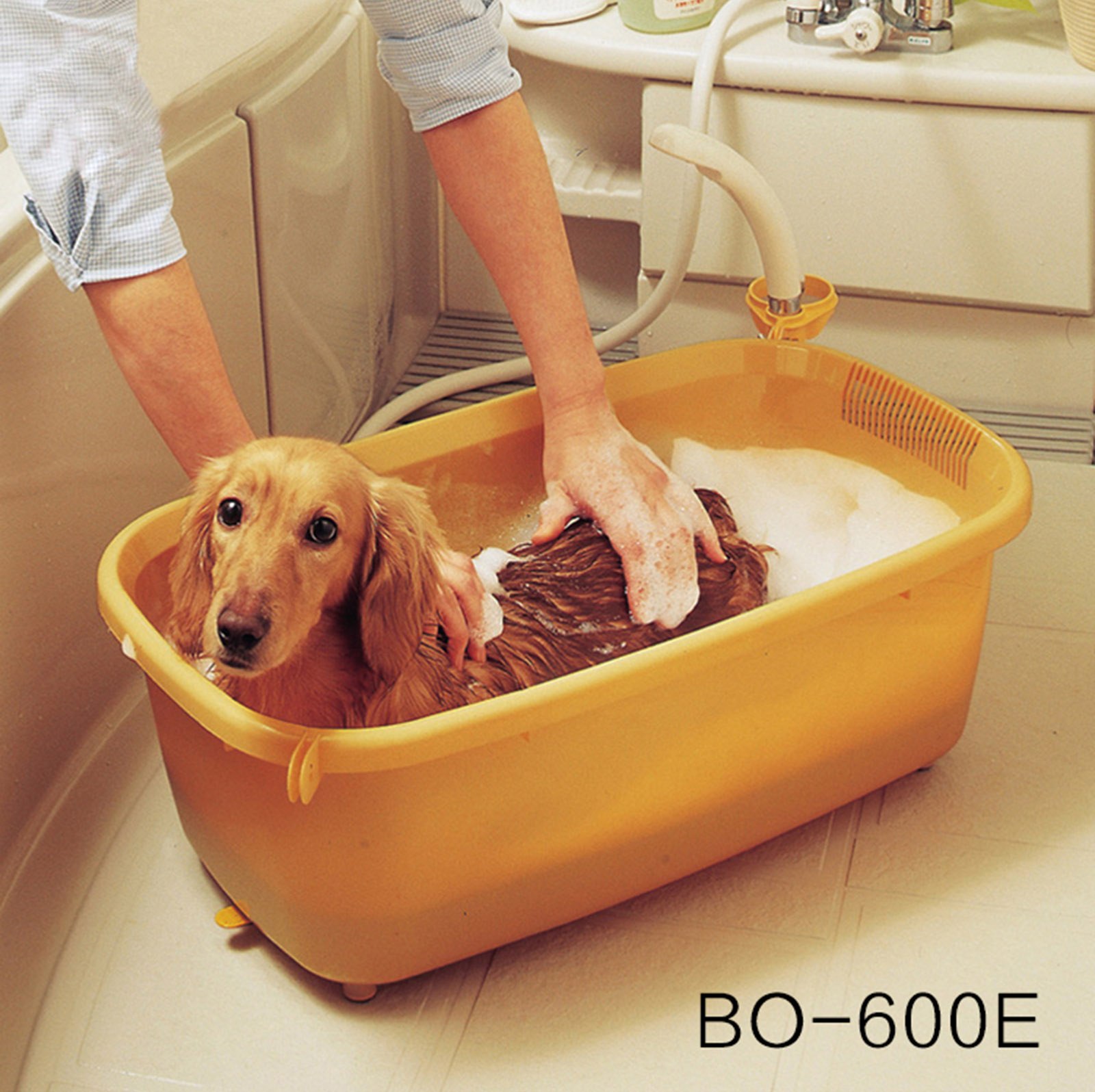Ванночка для собак. Мойка для собак. Ванна для собак. Ванны пластиковые для животных. Ванночка для купания собак.