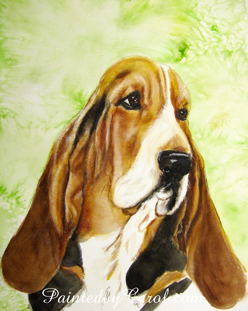 Basset Hound Art