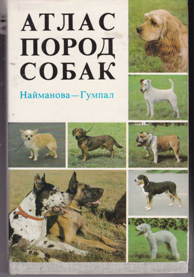 Атлас атлас-определитель породы собак