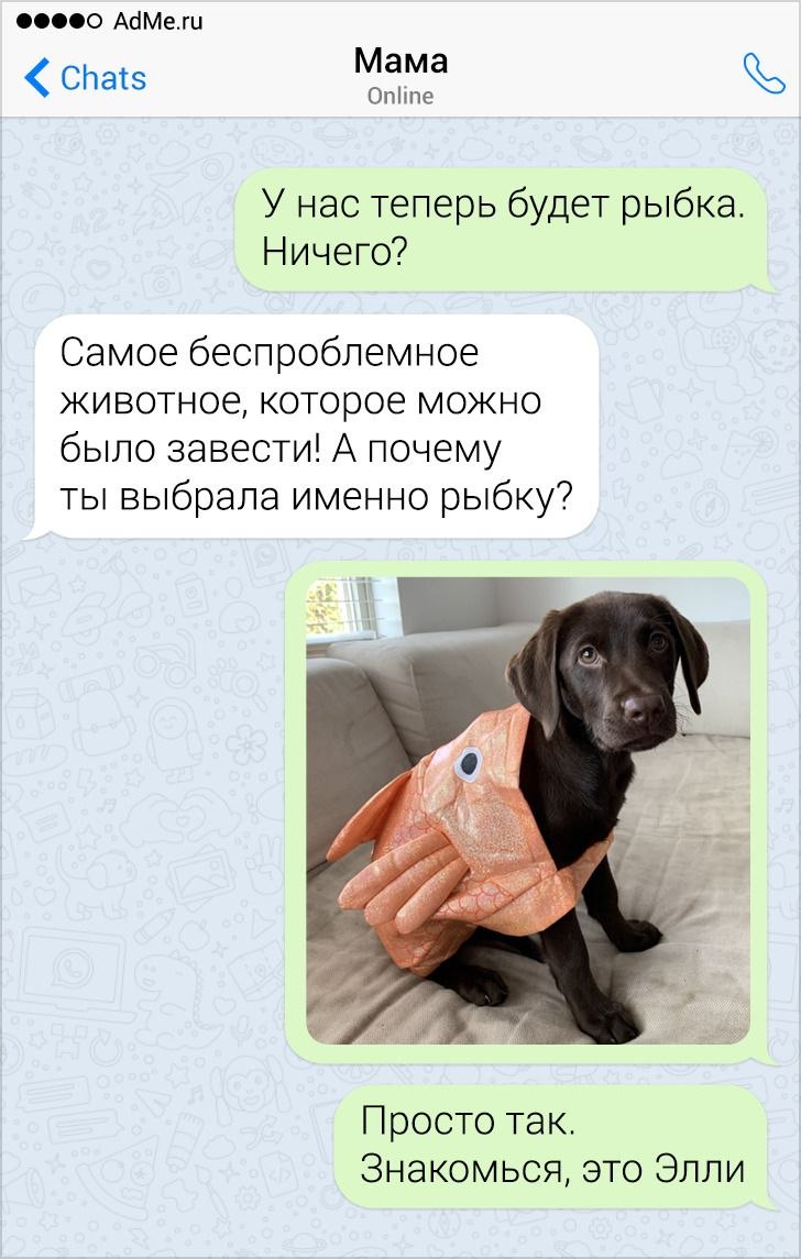 Как Уговорить Родителей Купить Новый Дом