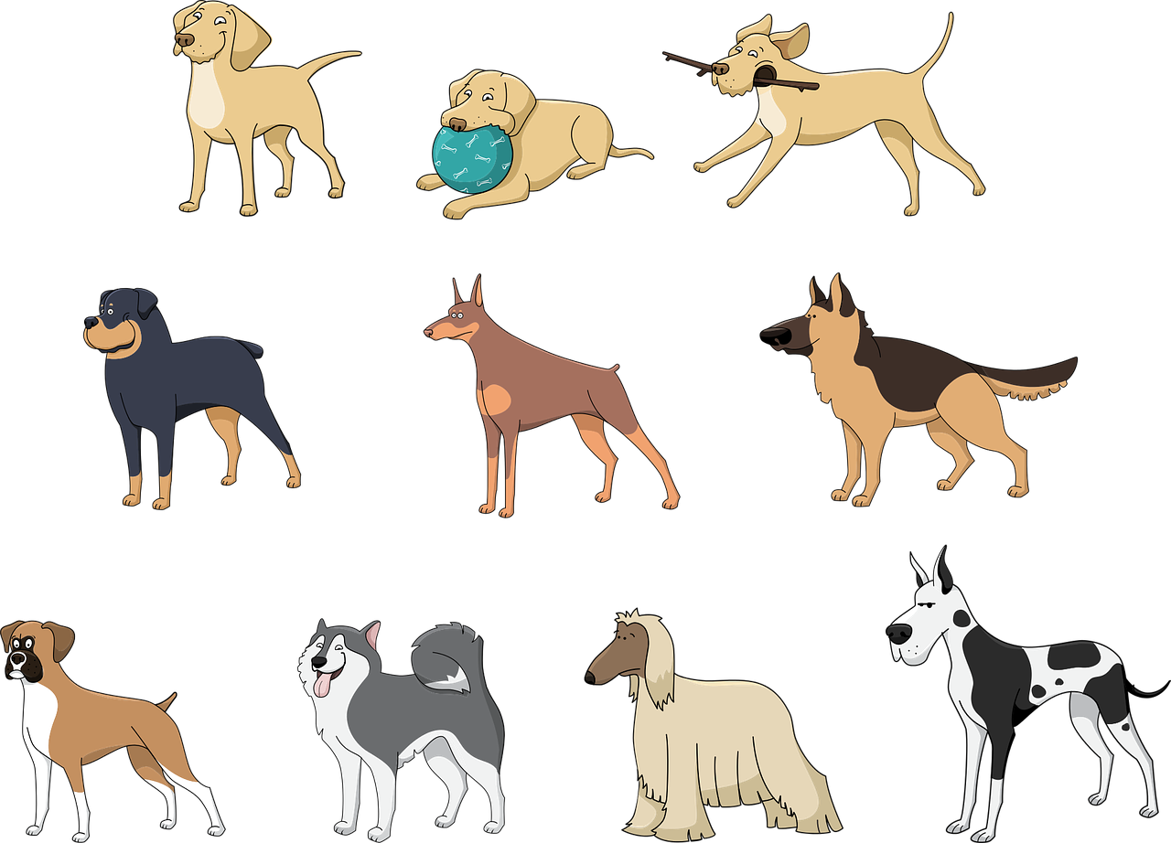 Породы собак нарисовать. Мультяшные собаки. Собака рисунок. Мультяшные собаки разных пород. Иллюстрации собак разных пород.