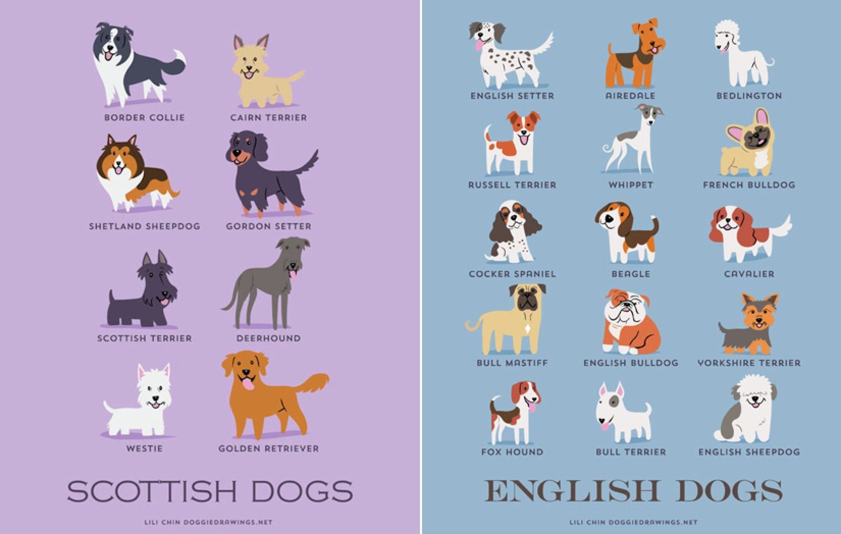 Английские породы собак