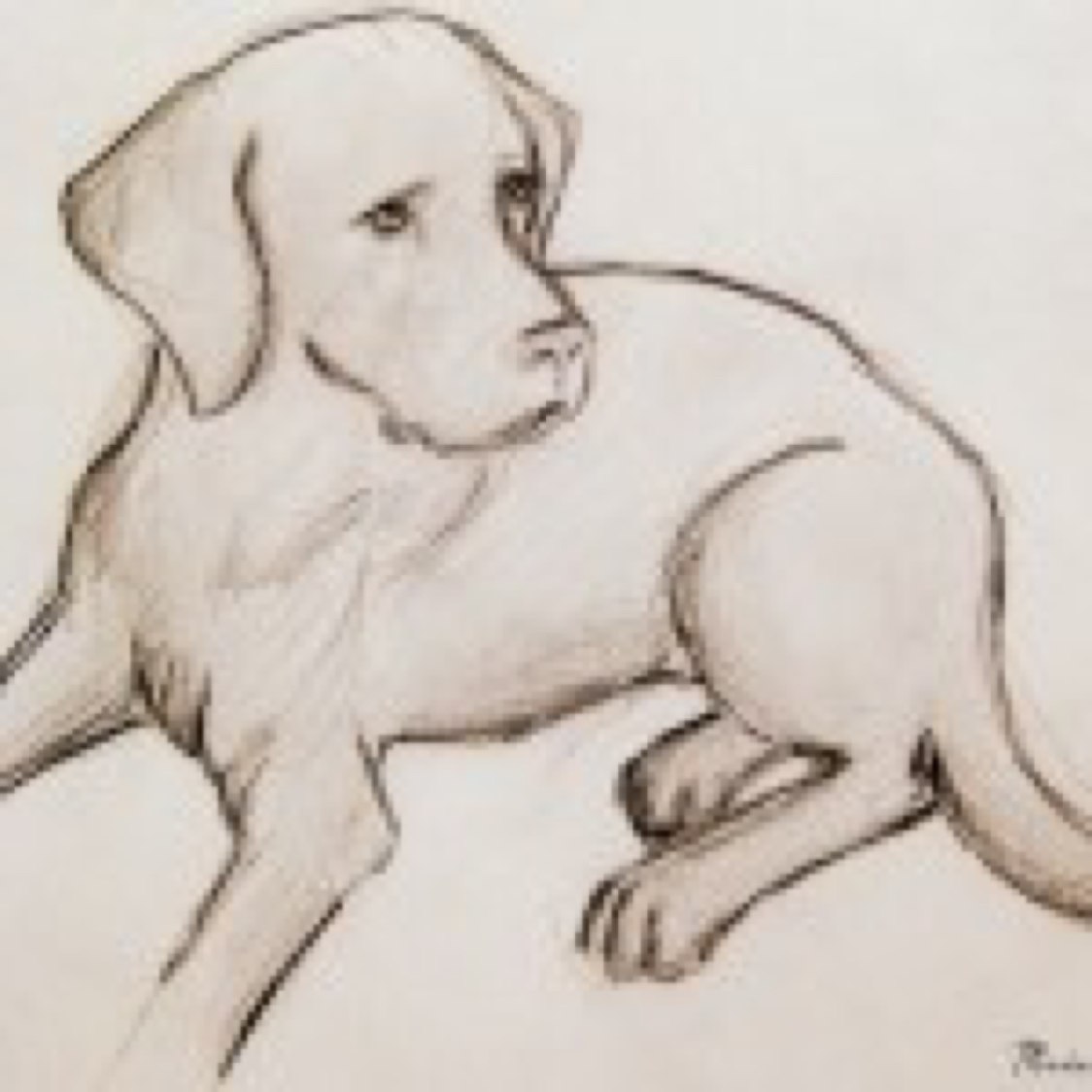 нарисованные собаки картинки простые