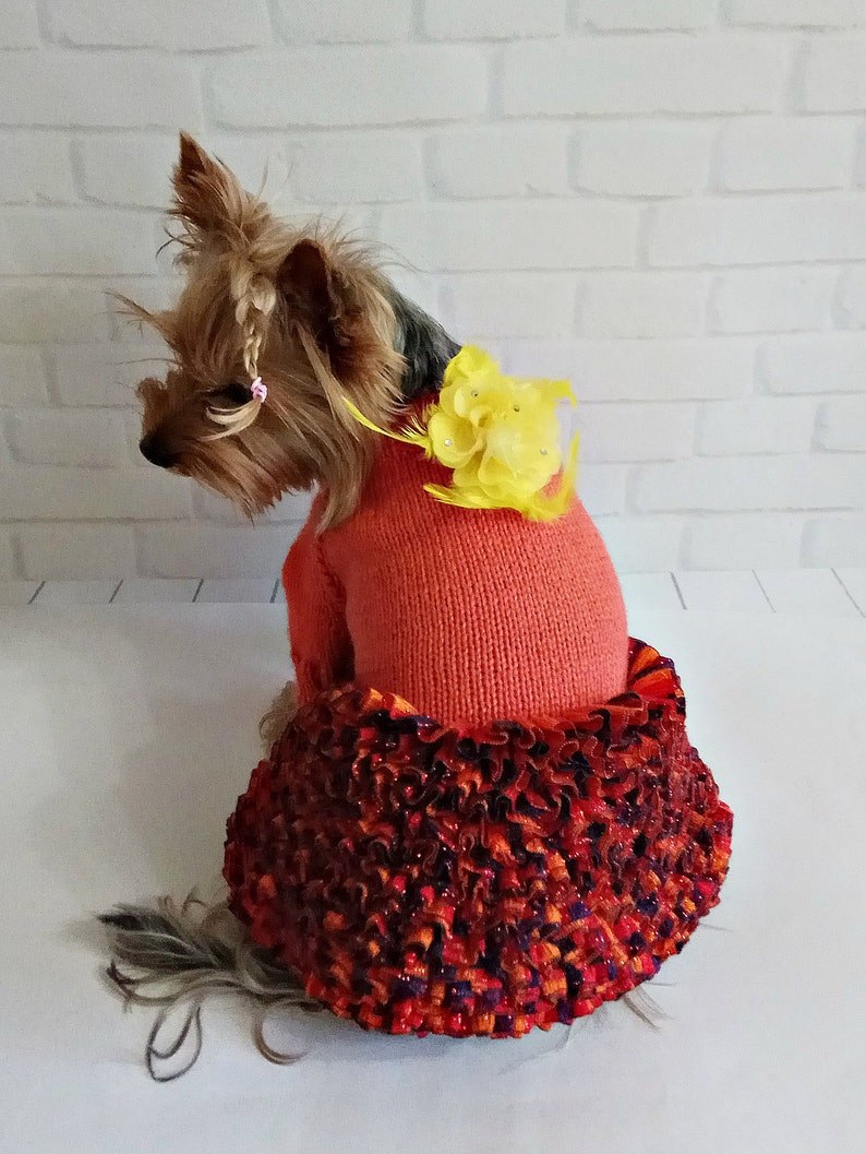 Strawberry Crochet hat for Dog