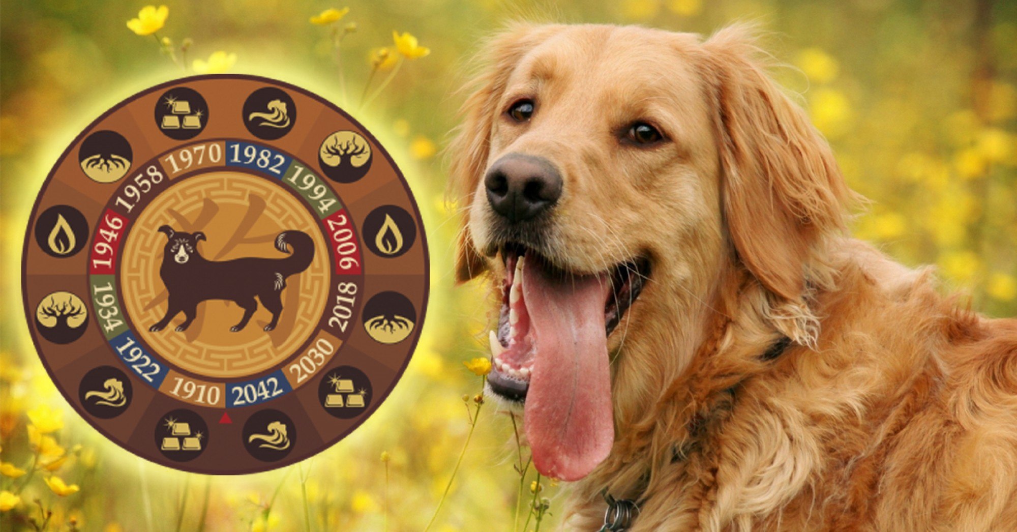 Знак зодиака собака года. Год Земляной собаки. Знаки зодиака собаки. Желтая Земляная собака. Собака (китайский Зодиак).
